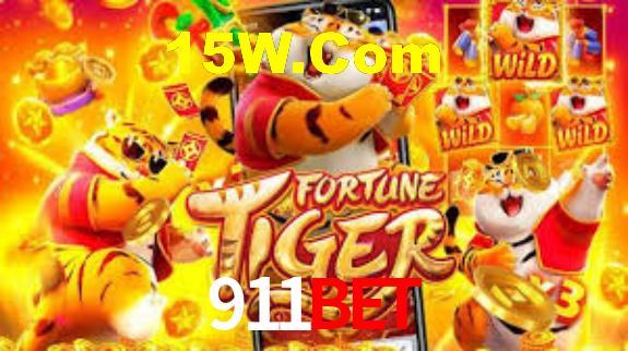 Premium Interface 911Bet