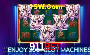 Sistemas de Segurança 911Bet